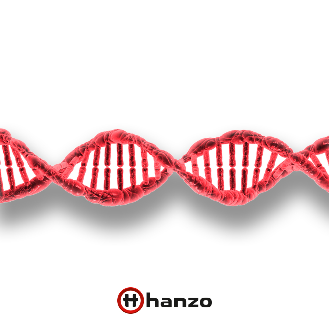 Nić DNA grafika Hanzo